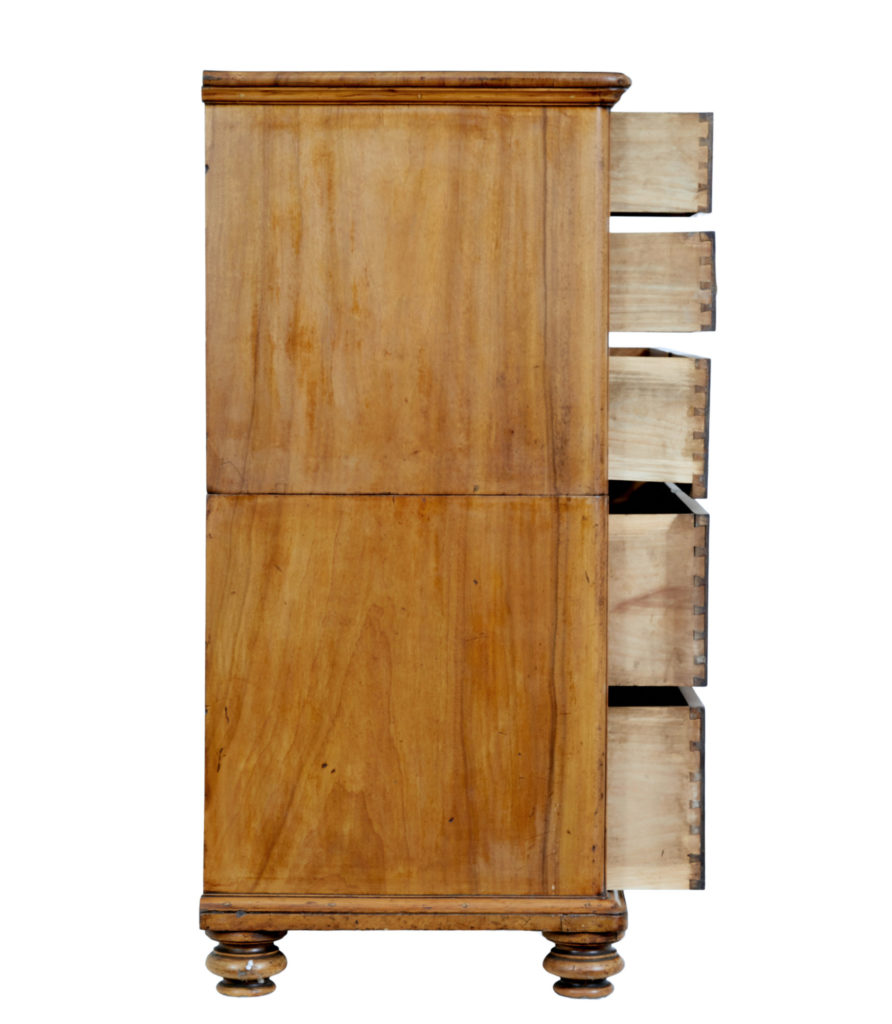 19th Century Camphor Campaign Chest of Drawers Writing Slope — image 10