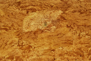 Swedish Mid 18th Century Alder Root Tripod Table — thumbnail 5