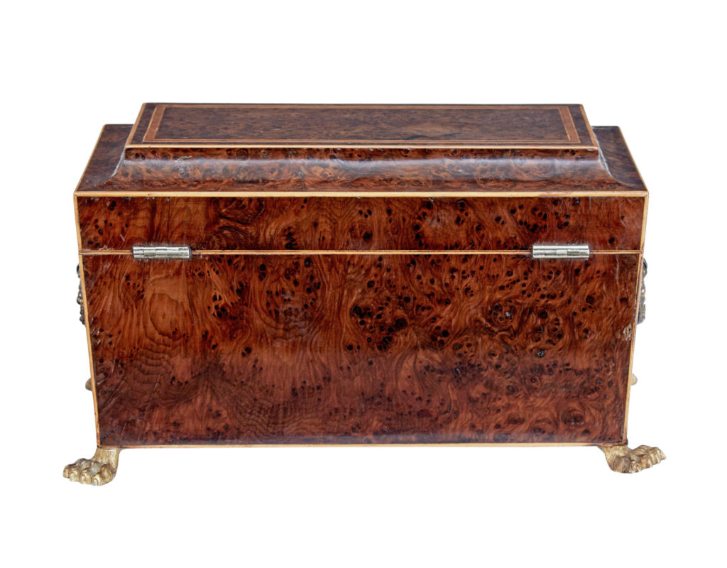 Early 19th Century Regency Burr Yew Tea Caddy — image 6