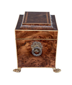 Early 19th Century Regency Burr Yew Tea Caddy — thumbnail 7