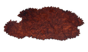 Early 20th Century Japanese Burl Amorphous Shaped Stand — thumbnail 3