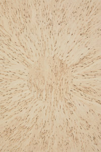 Burr Birch Circular Extending Jupe Dining Table — thumbnail 6