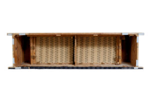 Impressive 19th Century Empire Carved Birch Sofa — thumbnail 8