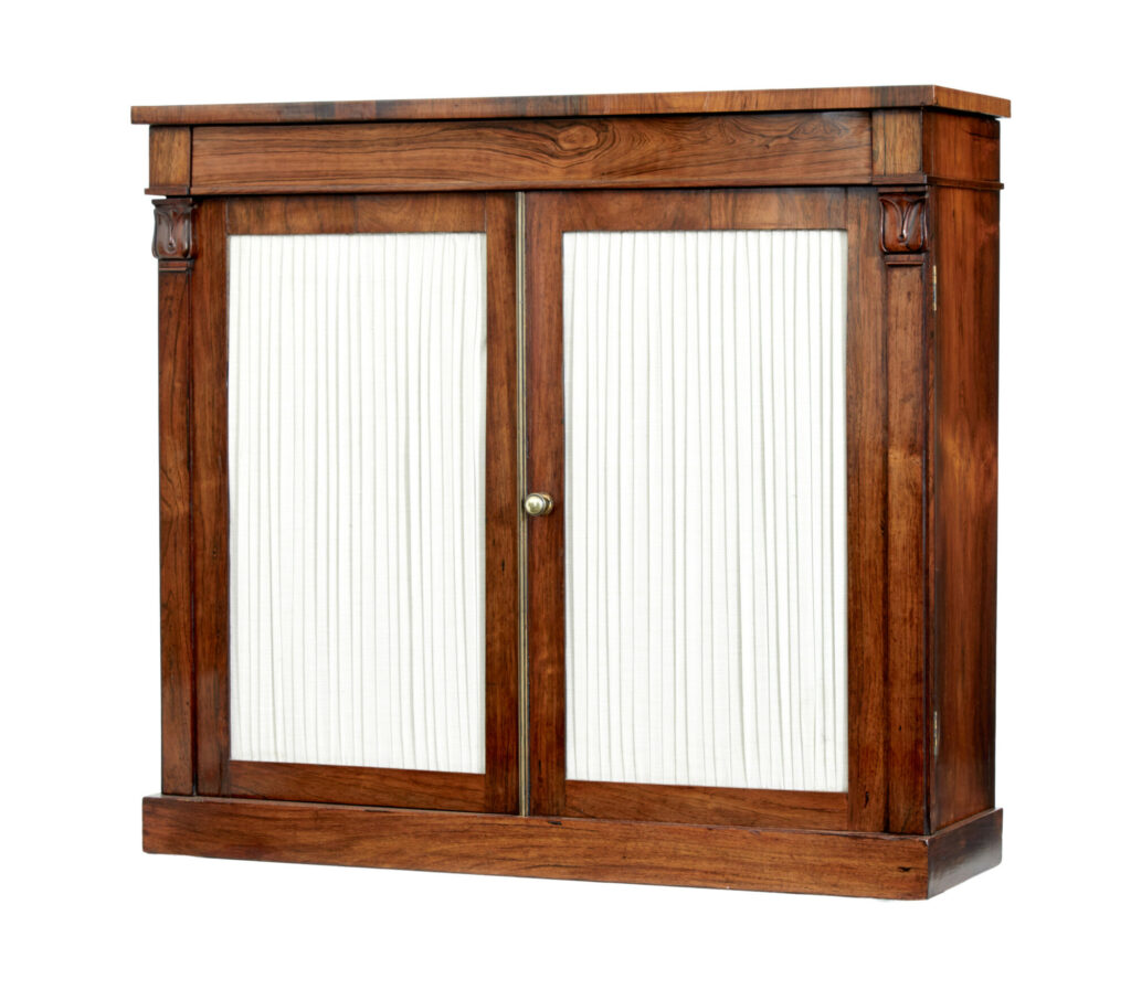 SMALL 19TH CENTURY PALISANDER CUPBOARD
