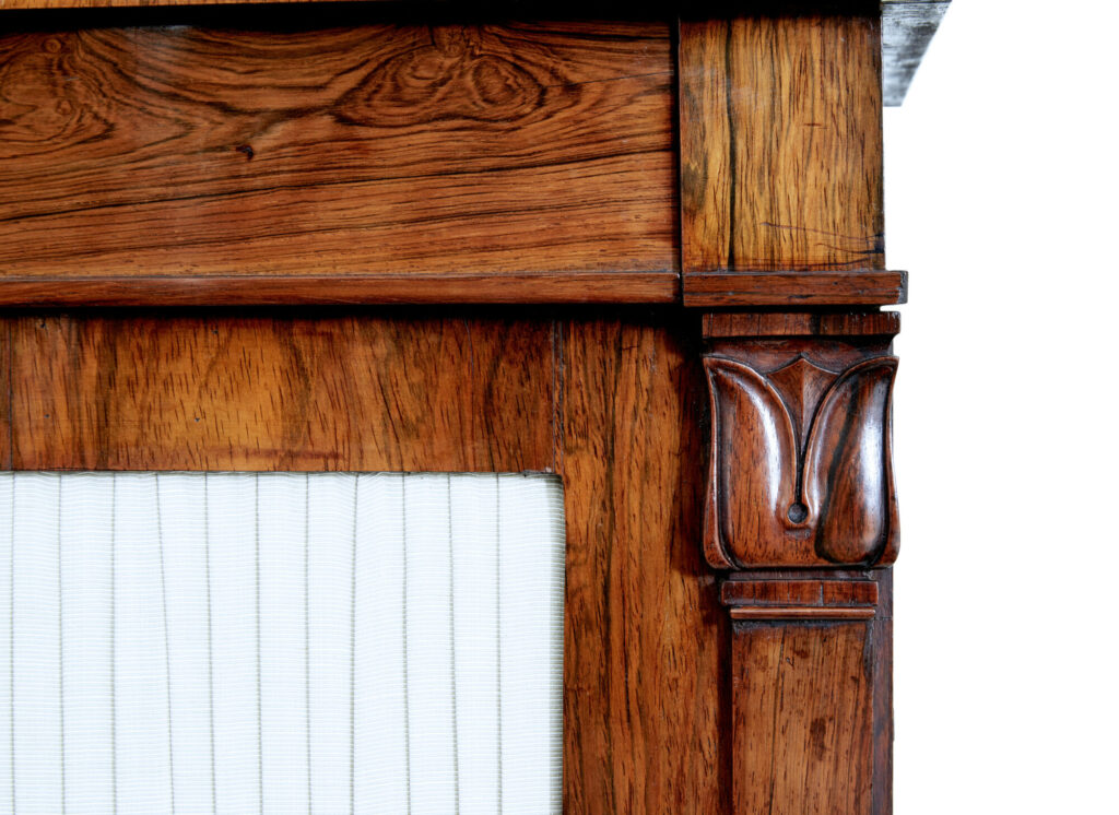 Small 19th Century Palisander Cupboard — image 9