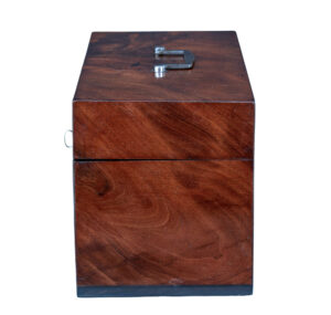 19th Century Regency Mahogany Caddy — thumbnail 6