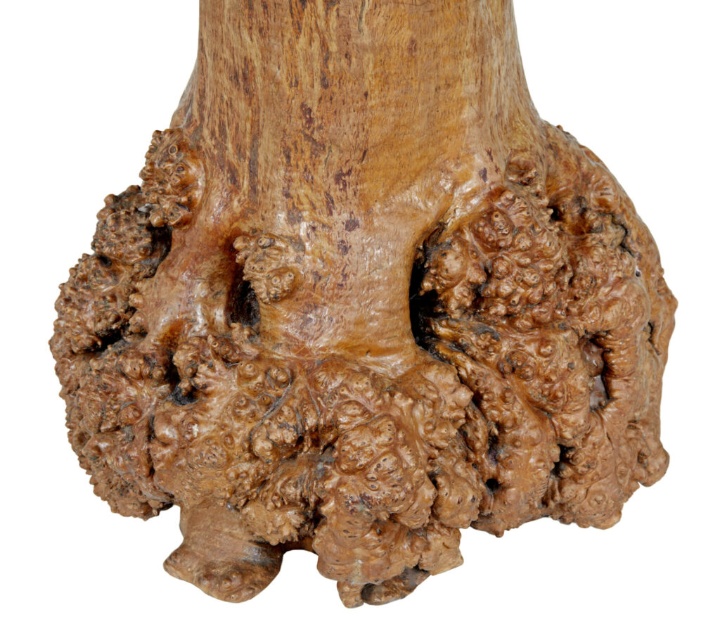 Scandinavian Circular Occasional Table with Burr Root Base — image 8
