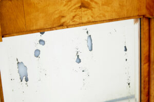 19th Century Swedish Empire Revival Birch Pier Mirror — thumbnail 3