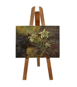 19th Century Miniature Oil on Board Painting of Edelweiss — thumbnail 3