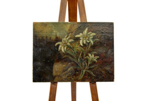 19TH CENTURY MINIATURE OIL ON BOARD PAINTING OF EDELWEISS