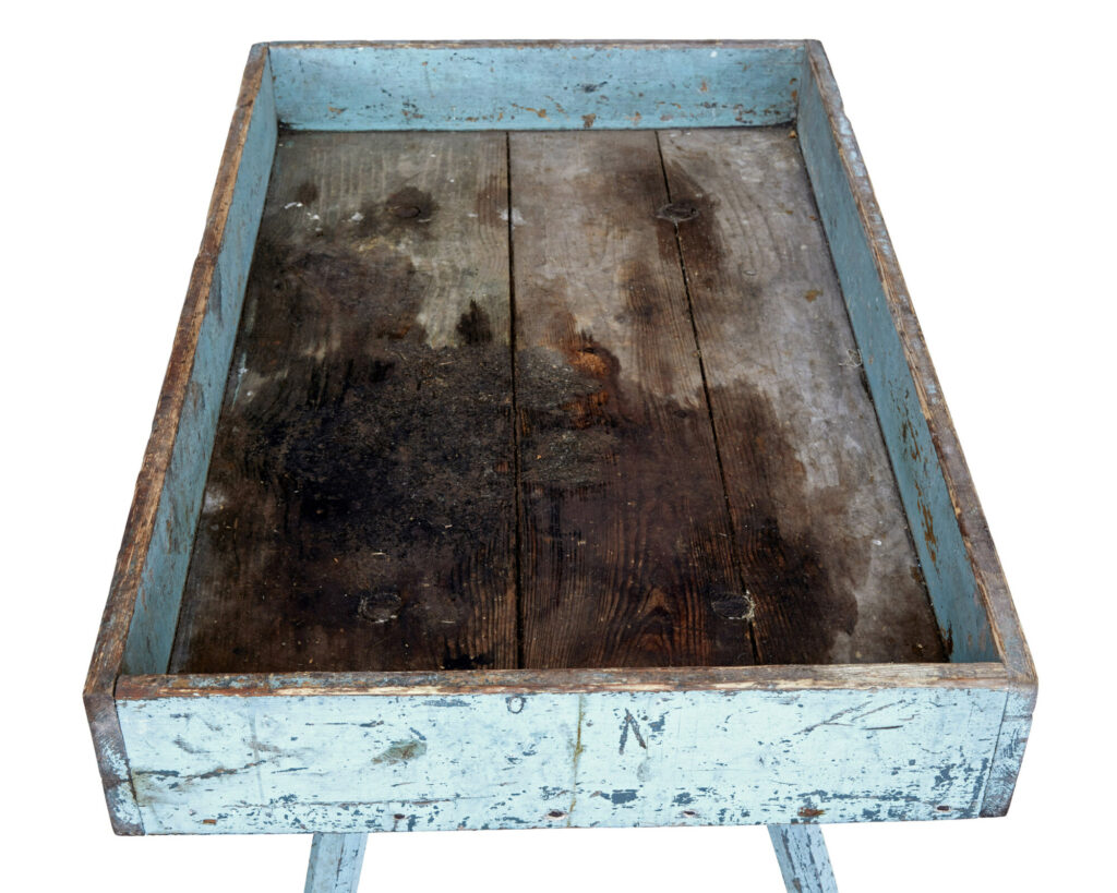 19th Century Swedish Painted Pine Garden Room Tray Table — image 3