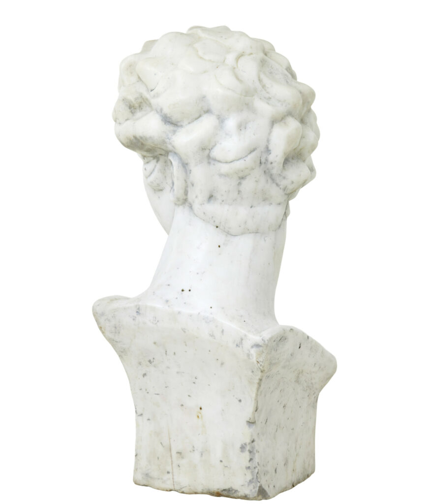 20th Century Decorative Marble Bust in the Greco Roman Style — image 5