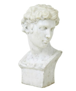 20TH CENTURY DECORATIVE MARBLE BUST IN THE GRECO ROMAN STYLE
