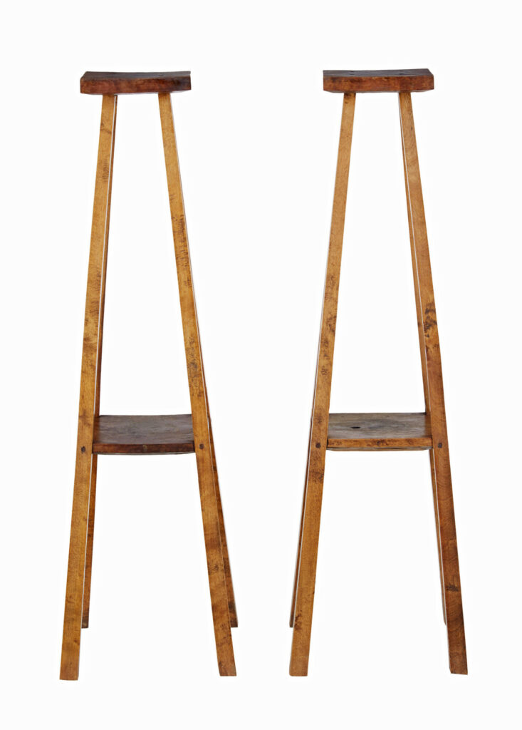 Pair of Late 19th Century Rustic Oak Pedestal Stands — image 2