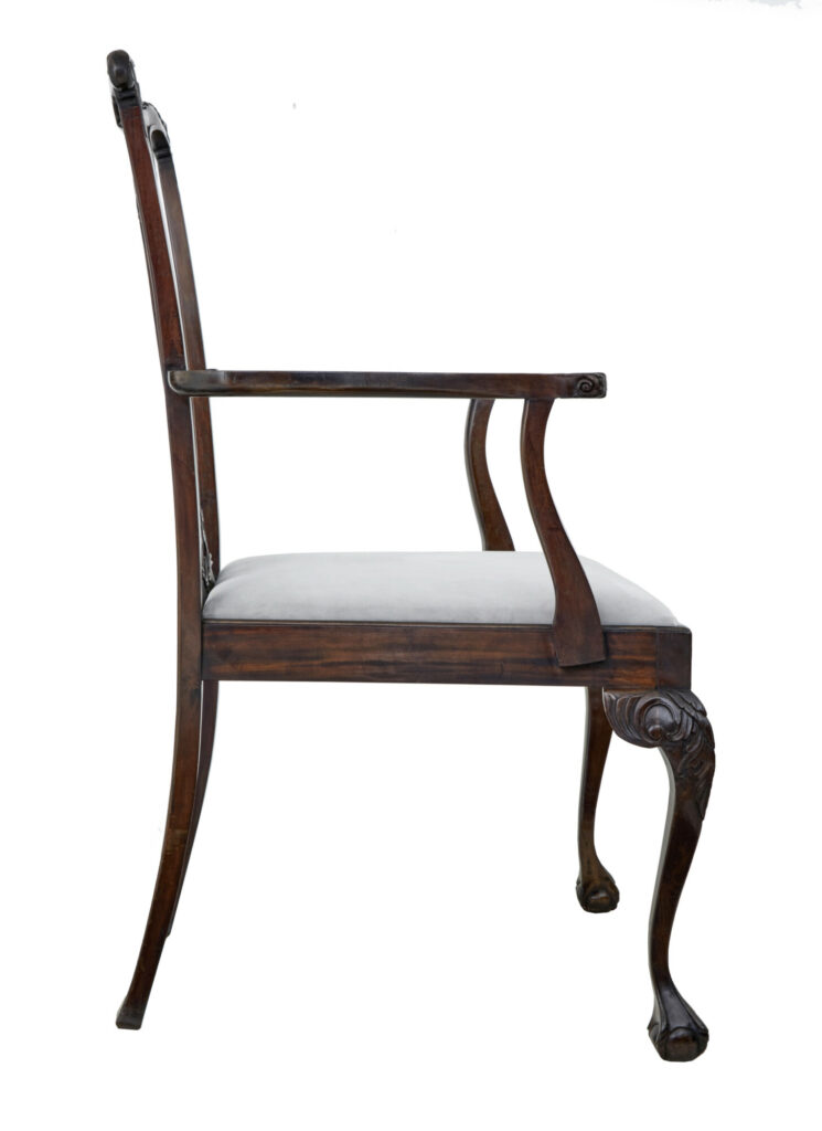 Chippendale Design Dining Chair of Large Proportions for Display — image 13