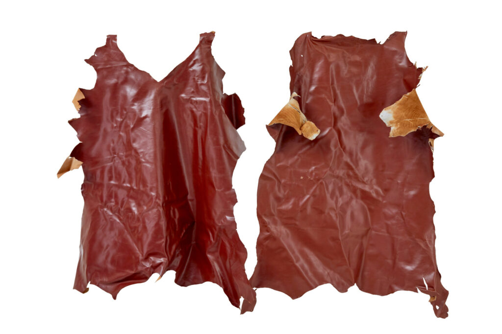16 Cowhide’s for Upholstery Or Decoration — image 8