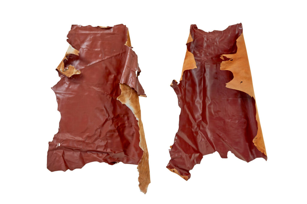 16 Cowhide’s for Upholstery Or Decoration — image 7