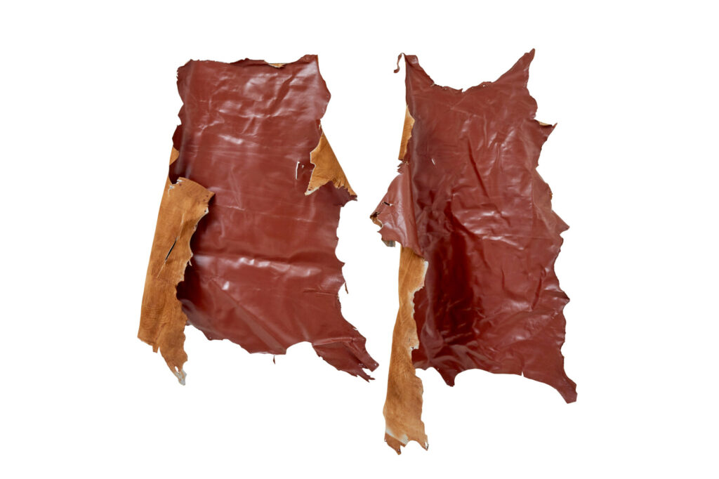 16 Cowhide’s for Upholstery Or Decoration — image 6