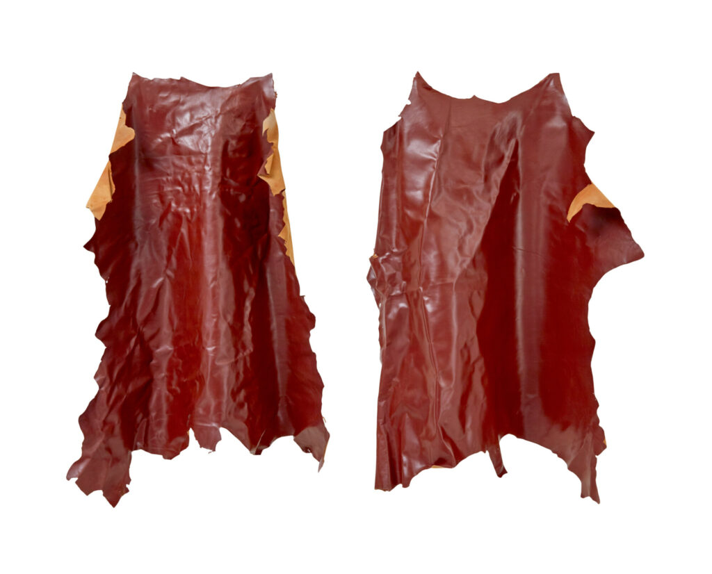 16 Cowhide’s for Upholstery Or Decoration — image 4