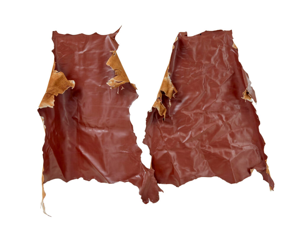 16 Cowhide’s for Upholstery Or Decoration — image 3