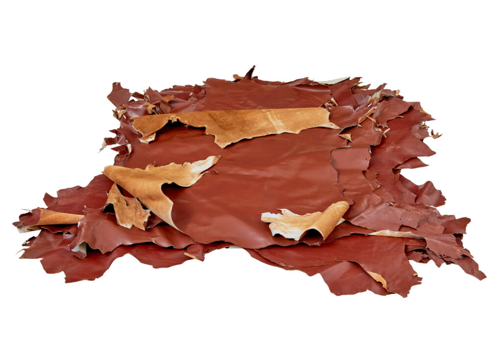 16 Cowhide’s for Upholstery Or Decoration — image 1