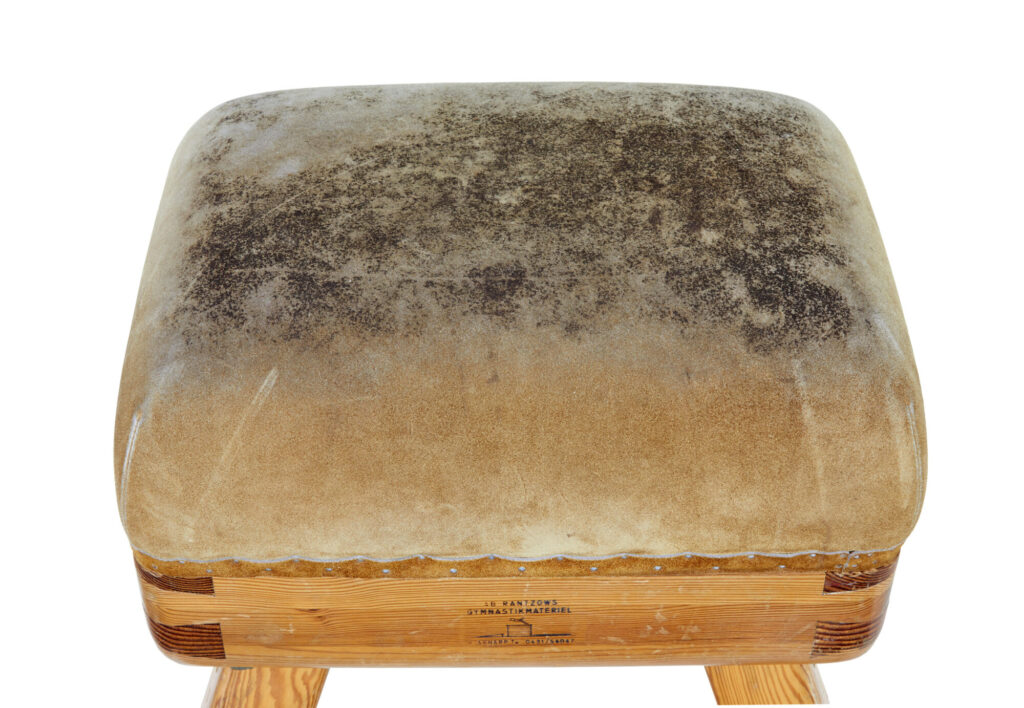 Mid Century Swedish Pine Gym Horse — image 7