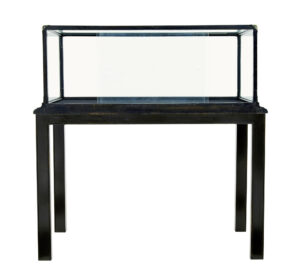 Early 20th Century American Display Cabinet by Quincy Showcase Works Illinois — thumbnail 7