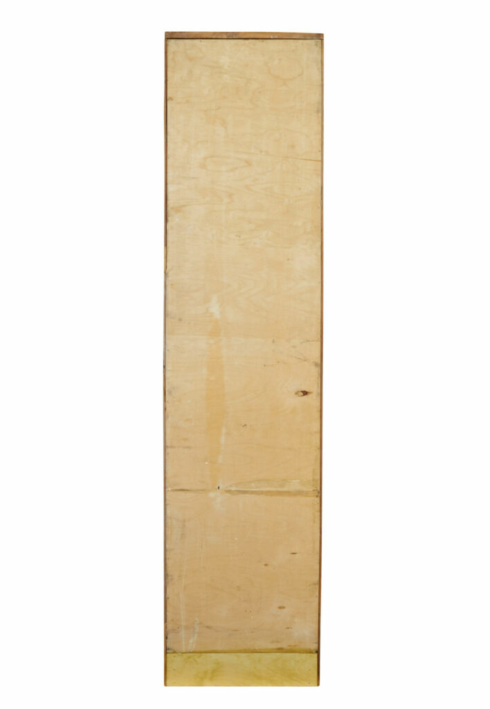 Early 20th Century Apothecary Fruitwood Tall Chest of Drawers — image 6