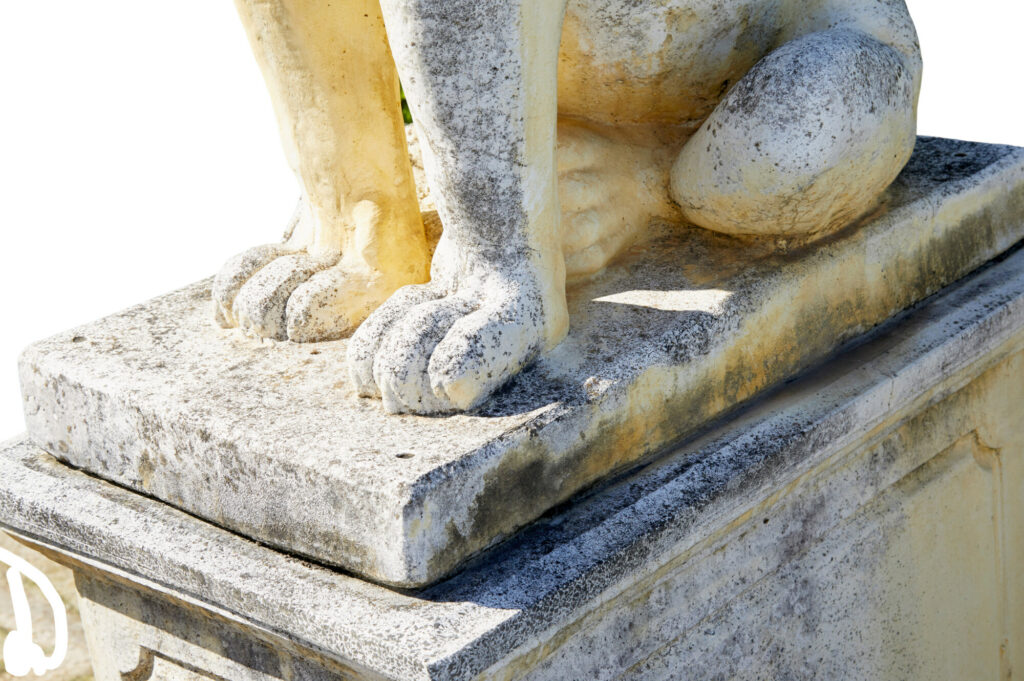 Fine Pair of Mid Century Carved Stone Lion Statues — image 2