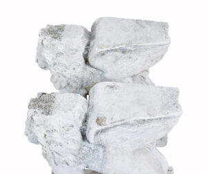 Pair of Early 20th Century Stone Garden Lion Pedestals — thumbnail 4