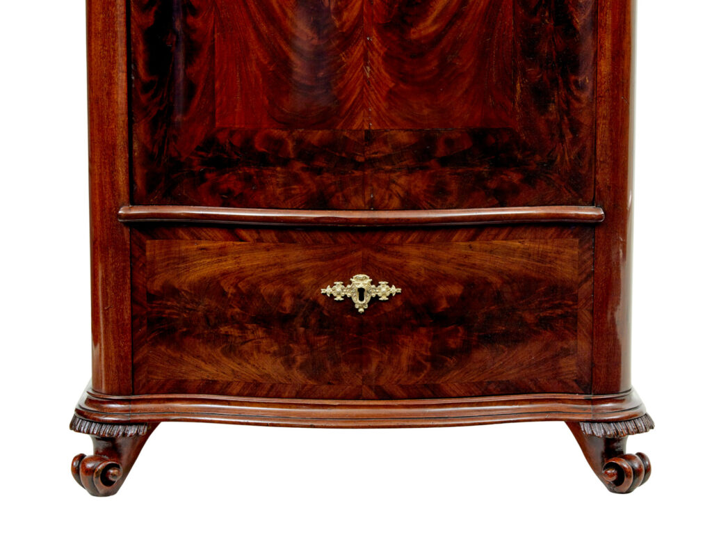 Scandinavian Pair of 19th Century Serpentine Shaped Cupboards — image 7