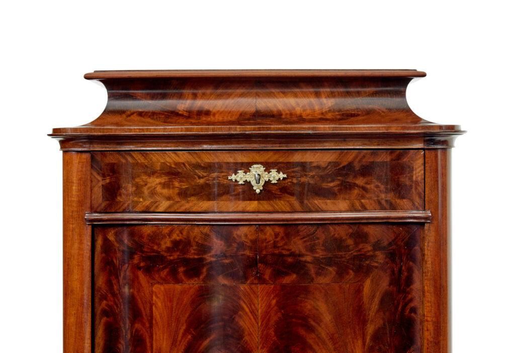 Scandinavian Pair of 19th Century Serpentine Shaped Cupboards — image 5